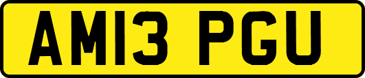 AM13PGU