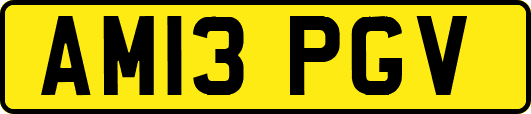 AM13PGV
