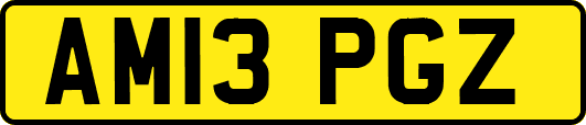 AM13PGZ