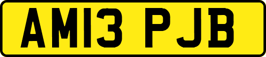 AM13PJB