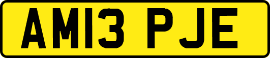 AM13PJE