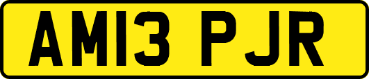 AM13PJR