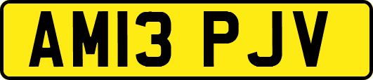 AM13PJV