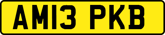 AM13PKB