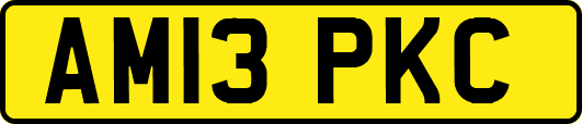 AM13PKC