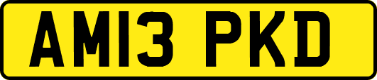 AM13PKD