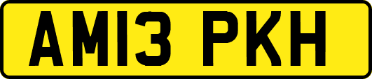AM13PKH