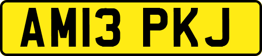 AM13PKJ