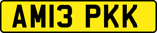 AM13PKK