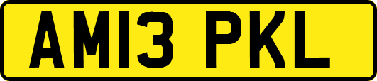 AM13PKL