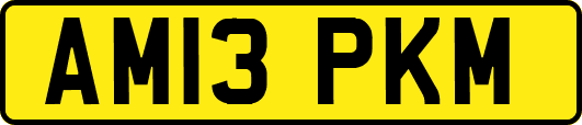 AM13PKM