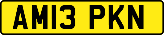 AM13PKN