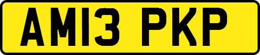 AM13PKP