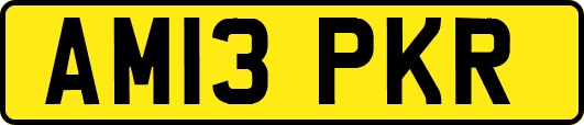 AM13PKR