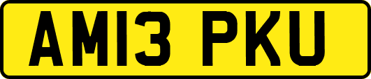 AM13PKU