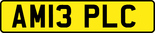 AM13PLC