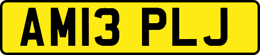 AM13PLJ