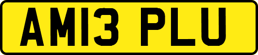 AM13PLU