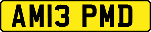 AM13PMD