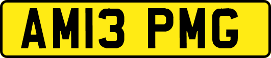 AM13PMG