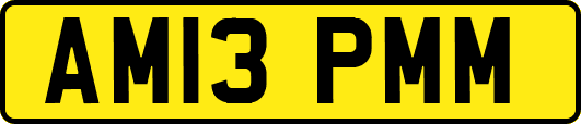 AM13PMM