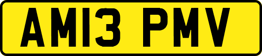 AM13PMV