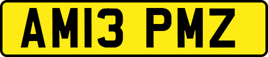 AM13PMZ