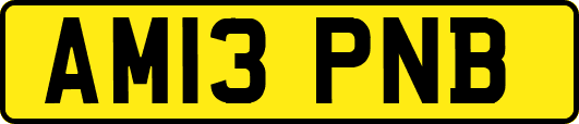 AM13PNB
