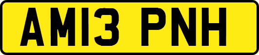 AM13PNH