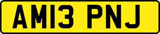 AM13PNJ