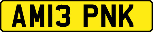 AM13PNK