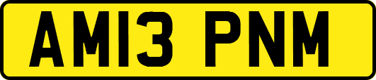 AM13PNM