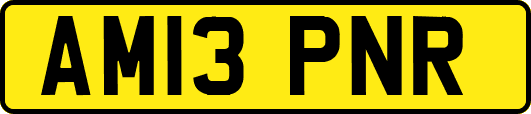 AM13PNR