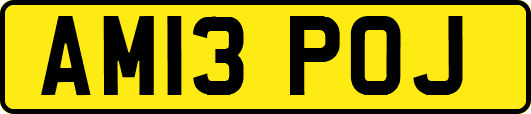 AM13POJ