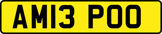 AM13POO