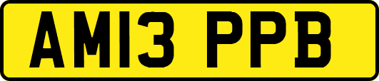 AM13PPB