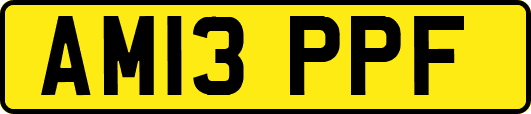 AM13PPF