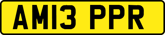 AM13PPR