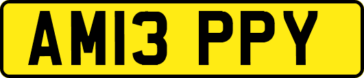 AM13PPY
