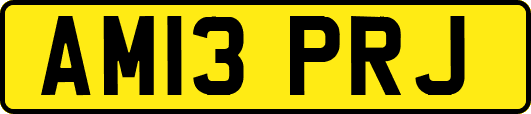 AM13PRJ