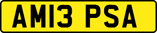 AM13PSA