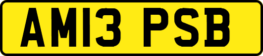 AM13PSB