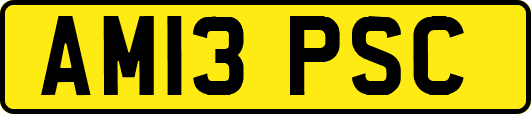 AM13PSC