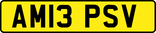 AM13PSV