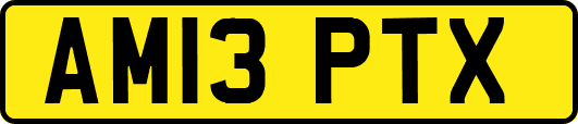 AM13PTX