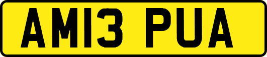 AM13PUA