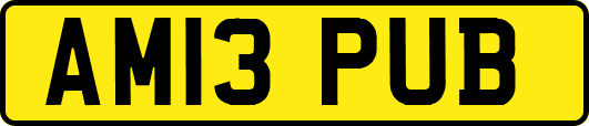 AM13PUB