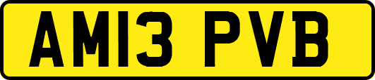 AM13PVB