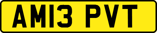 AM13PVT