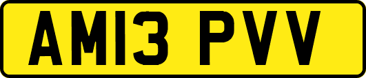 AM13PVV